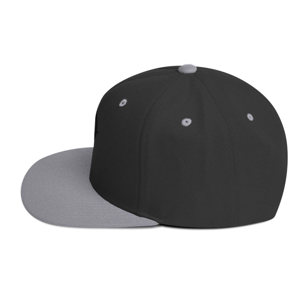 A WR Logo Snapback Hat