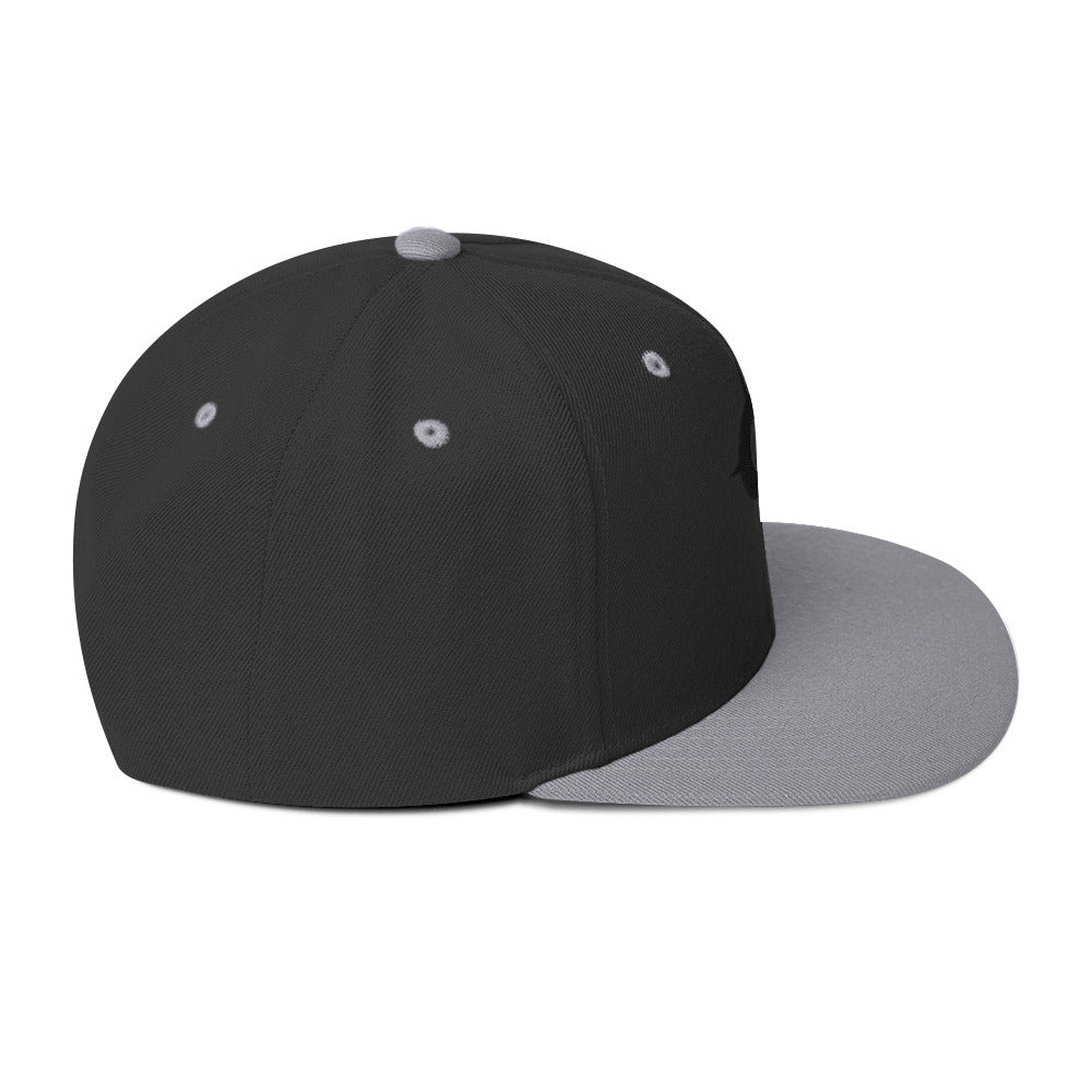 A WR Logo Snapback Hat