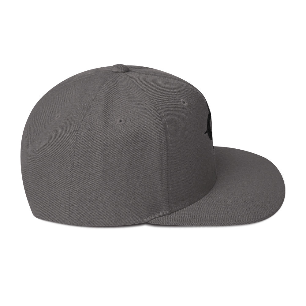A WR Logo Snapback Hat