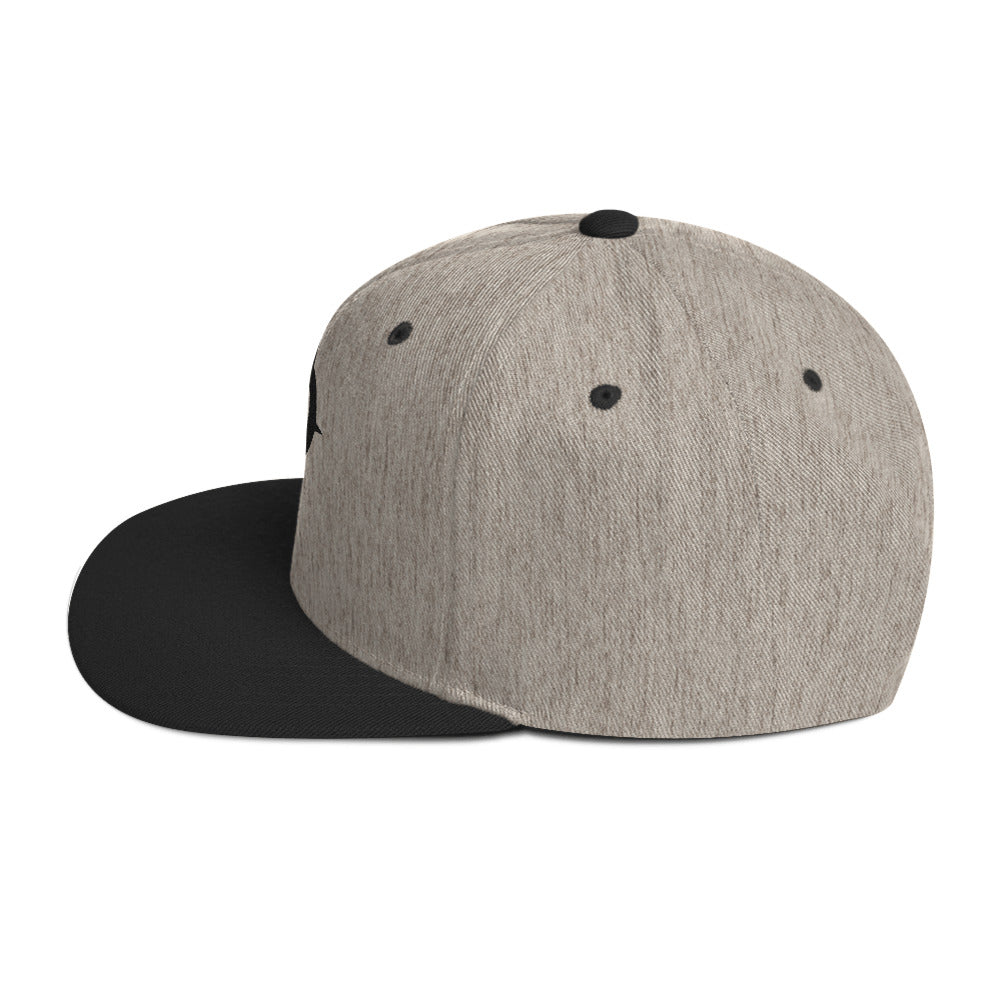 A WR Logo Snapback Hat