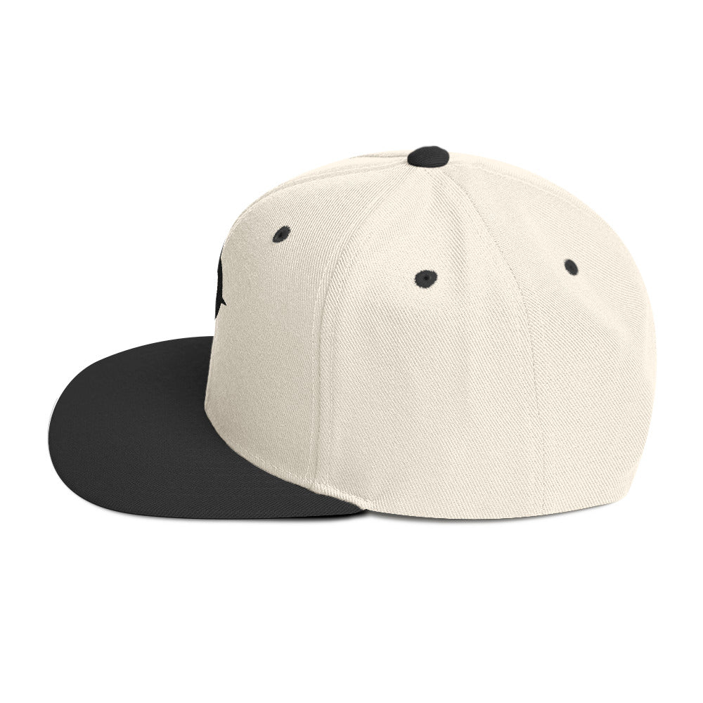 A WR Logo Snapback Hat
