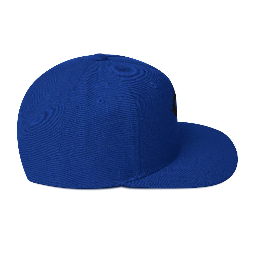 A WR Logo Snapback Hat